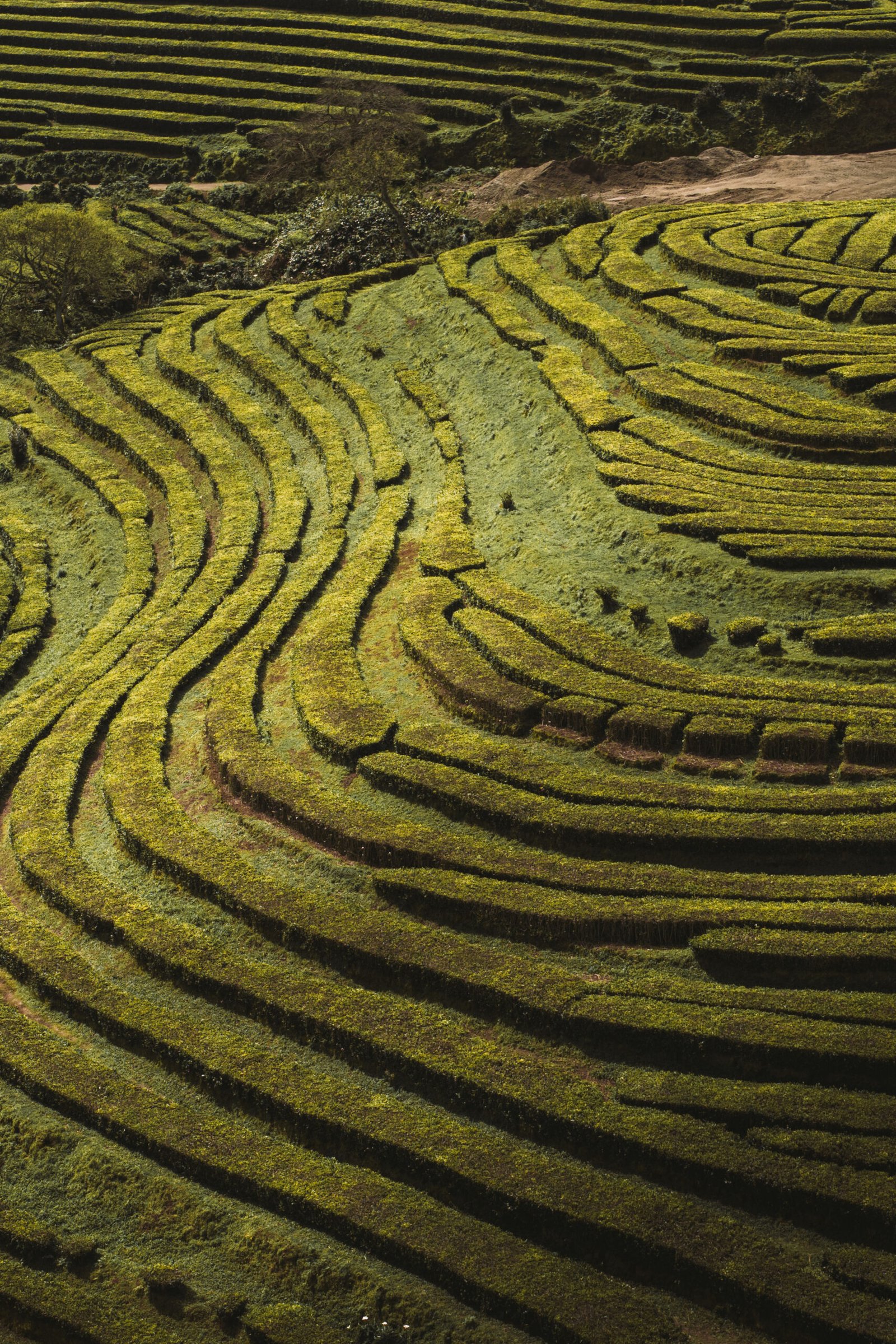 DJI_20250407130441_0026_D
